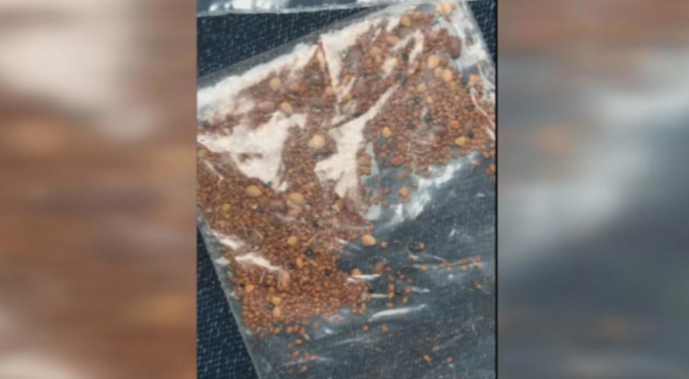 Those Seeds People Are Getting From China Are Most Likely A Scam