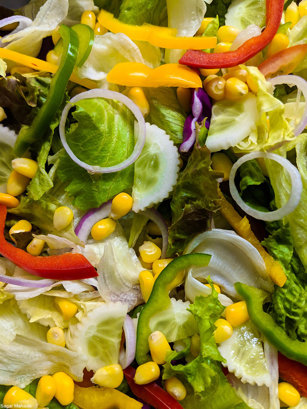 salad with onions