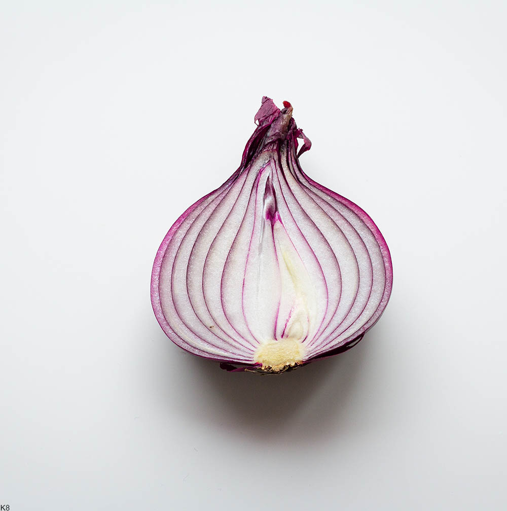 cross section of a red onion