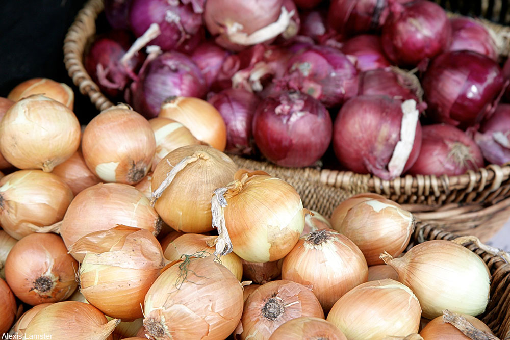 red and yellow onions on display at a store side by side