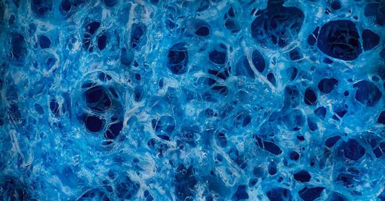 10 Average Things That Are Incredibly Beautiful Under a Microscope