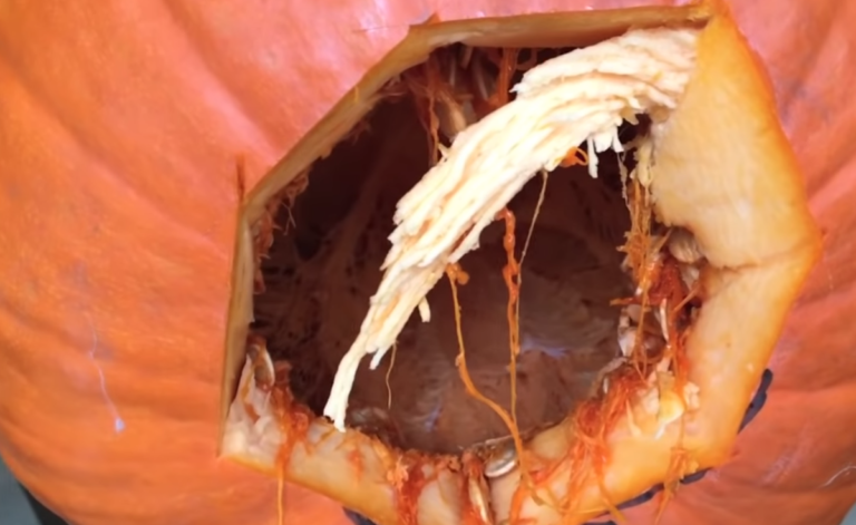 Carving The Bottom Of A Pumpkin Makes It Easier To Pull Out The Seeds