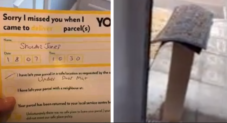 Delivery Man Leaves A Giant Package Under The Doormat