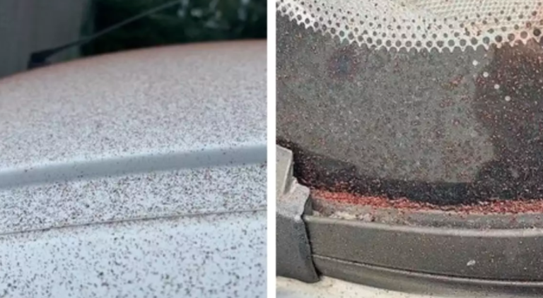 Chocolate ‘Rained’ From The Sky Blanketing A Swiss Town After The Lindt Factory Malfunctioned
