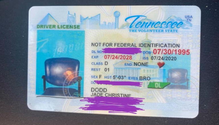 Woman Gets Her Drivers License With A Photo Of An Empty Chair