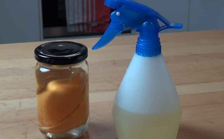 How To Make Homemade Orange Peel Cleaner