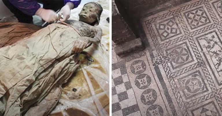 Incredible Discoveries Made By Construction Workers
