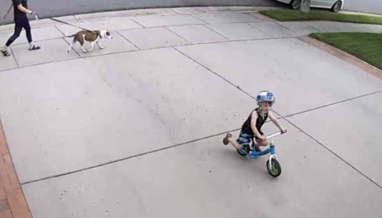 Man Turns His Driveway Into A Surprise Race Track For A Kid That Bikes In The Neighborhood