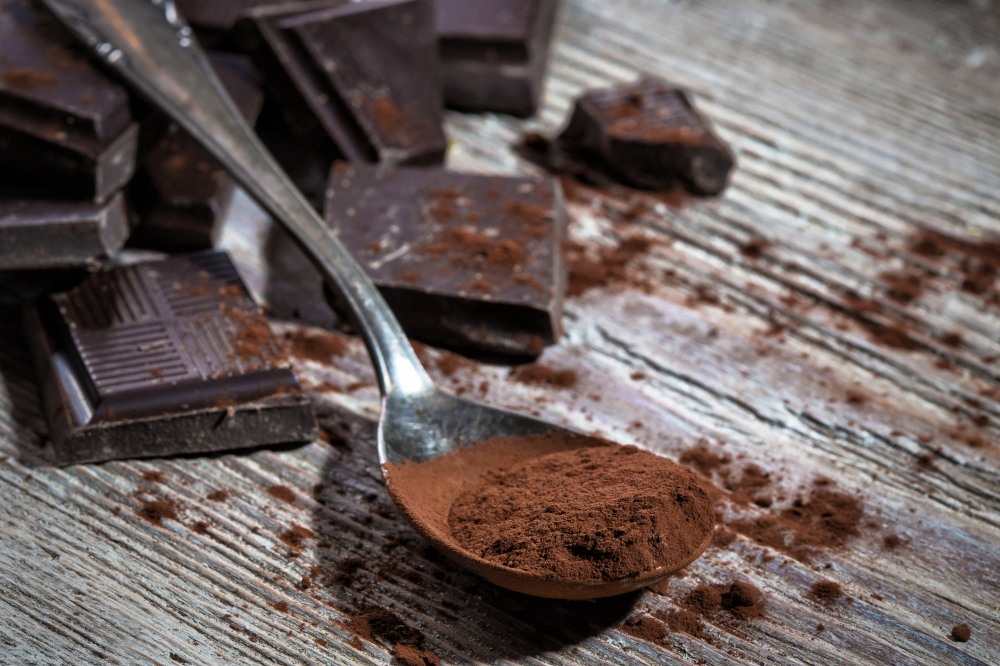 cocoa powder and dark chocolate squares