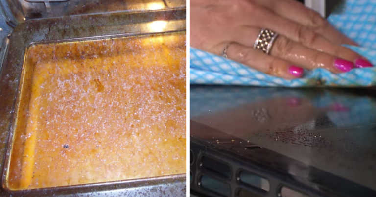 The Easiest Way To Clean Greasy Oven Doors