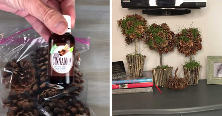 9 Easy Ways To Decorate With Pinecones This Fall!
