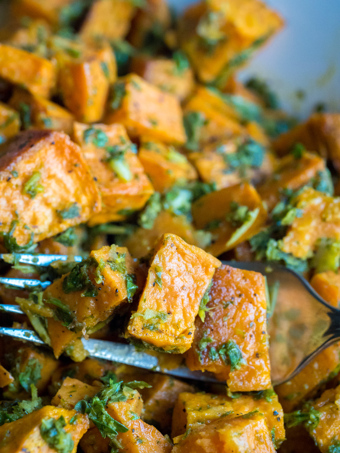 Roasted Sweet Potatoes with Chimichurri Sauce