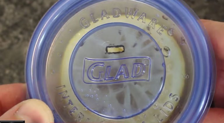 How To Make A Reusable Fruit Fly Trap Out Of Plastic Tupperware