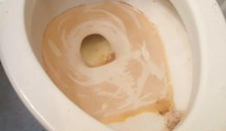 How To Make Cheap And Effective Toilet Bowl Cleaner