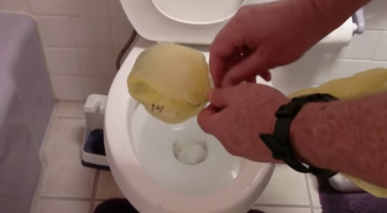 How To Unclog Your Toilet With Cleaning Brush And A Plastic Bag