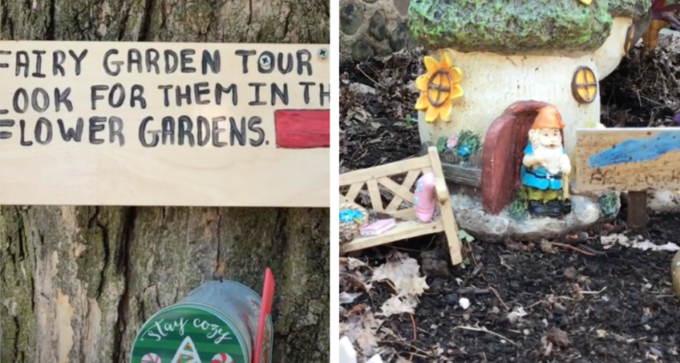 Grandma And Her Granddaughter Offer Virtual Tours Of Their Fairy Garden