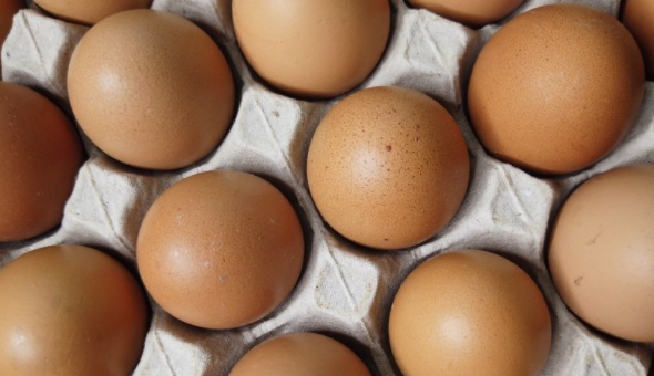 Can You Freeze Chicken Eggs?