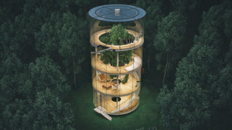 Architect Designs A Home Around A Giant Tree In Kazakhstan