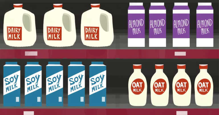 Which Milk Is Best?