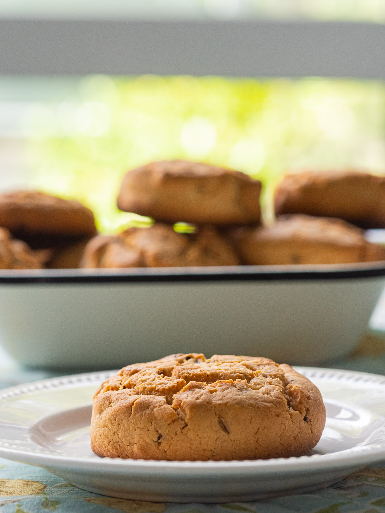 Lacemaker's Cattern Cakes