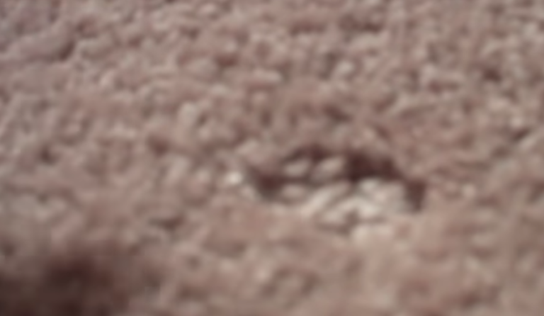 How To Remove Furniture Dents From Carpet