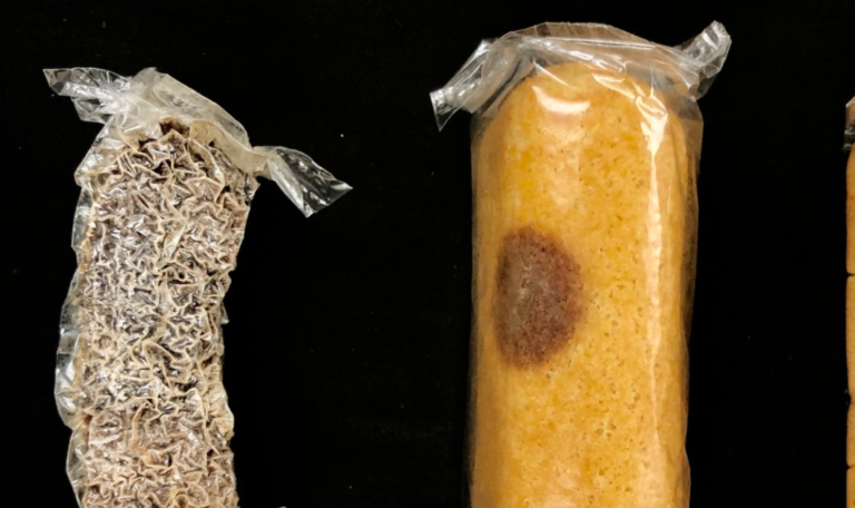 8-Year-Old Twinkie That Wasn’t Supposed To Get Rotten Defies Science