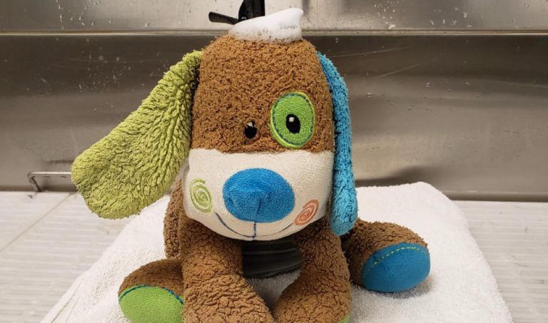 Lost Stuffed Puppy Gets Cleaned Up At The Spa Before Reuniting With Its Owner