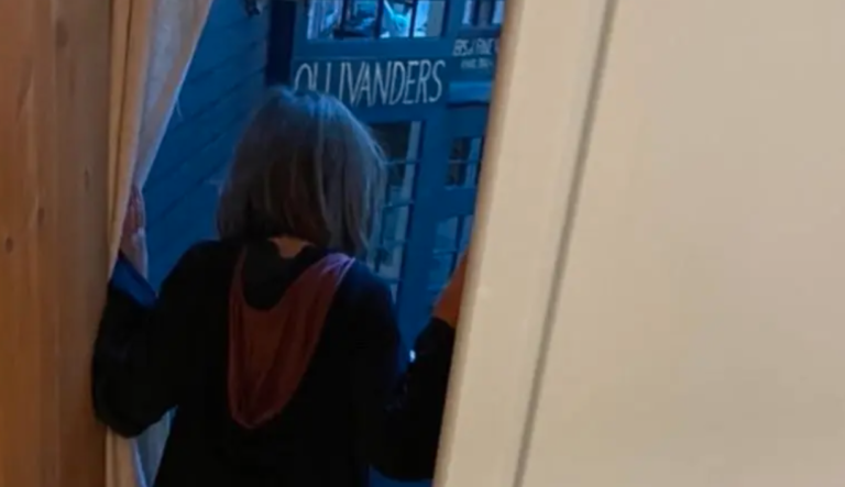 Dad Builds An Elaborate Replica Of Harry Potter’s Diagon Alley Behind His Daughter’s Wardrobe