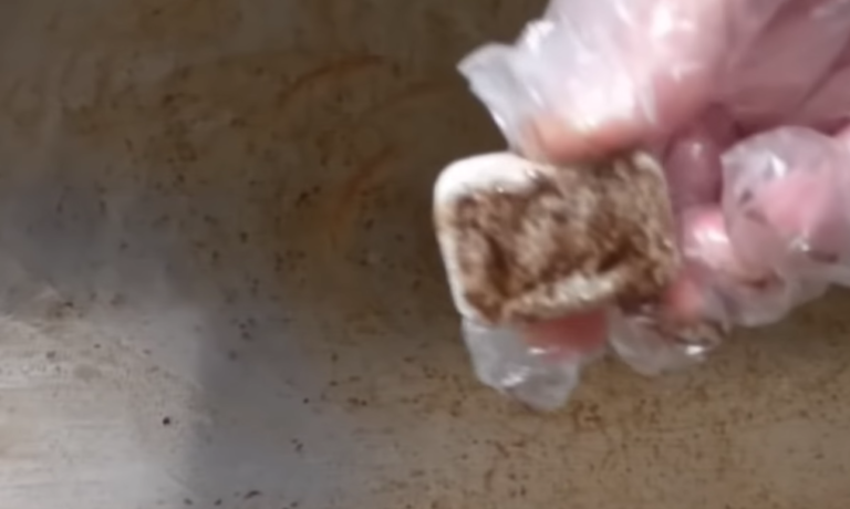 You Can Use Dishwasher Tablets To Clean Your Oven