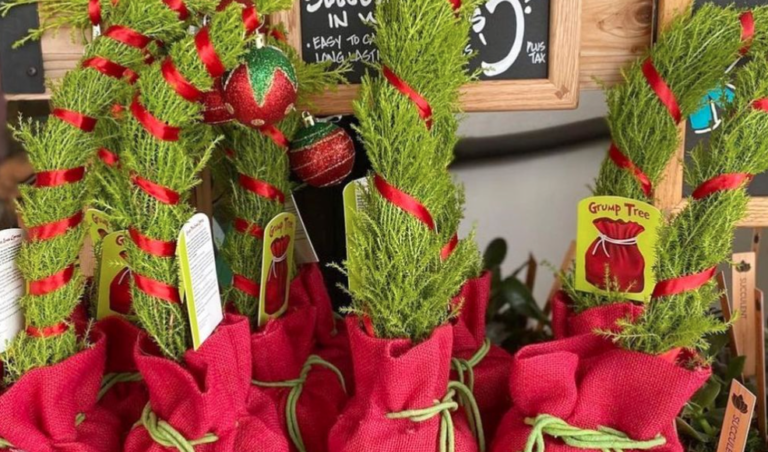 Trader Joe’s Is Selling Mini Grinch-Inspired Christmas Trees