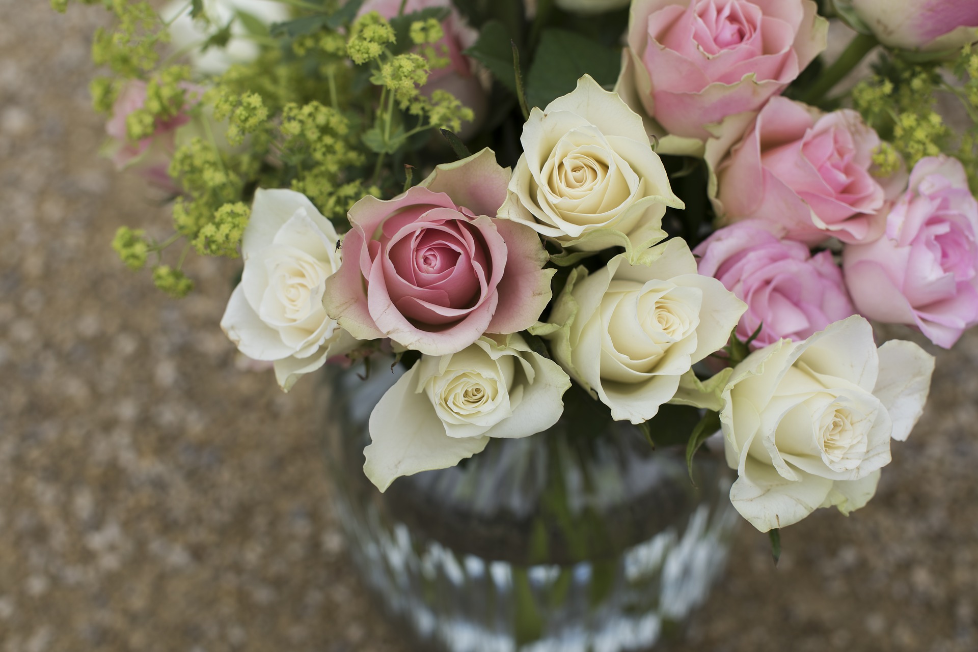 Easy Tips To Make Fresh Cut Flowers Last Longer In A Vase 12 Tomatoes