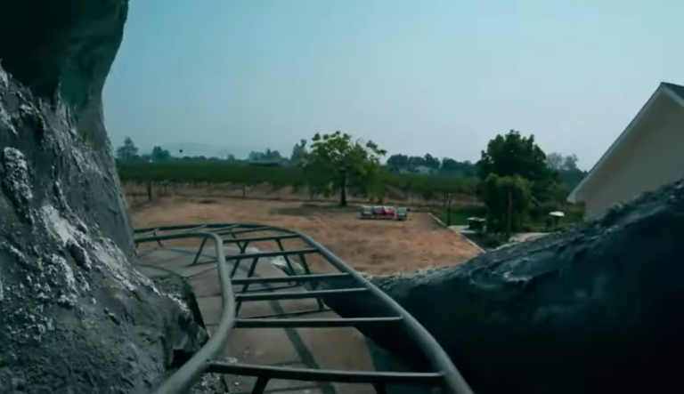 Man Builds A Mini Matterhorn Roller Coaster In His Backyard