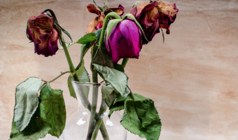 Easy Tips To Make Fresh Cut Flowers Last Longer In A Vase