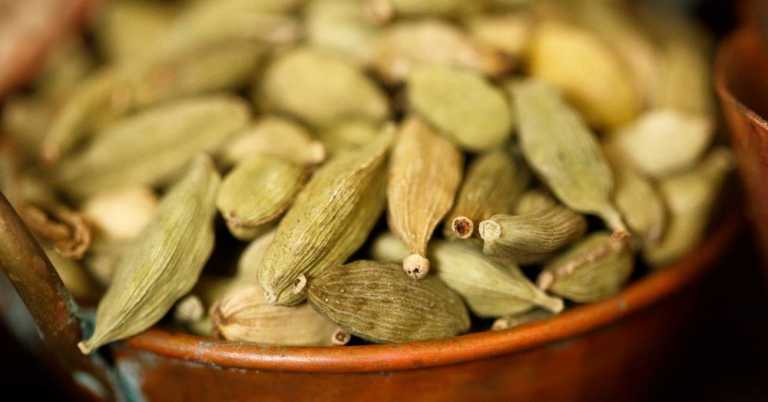 What is Cardamom and How Can I Use It?
