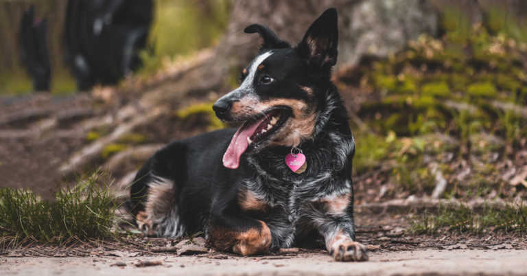 My buddy Jack