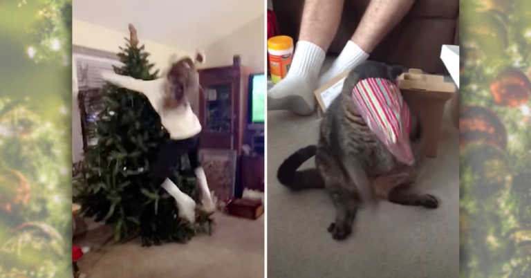 ‘Tis The Season For Holiday Fails!