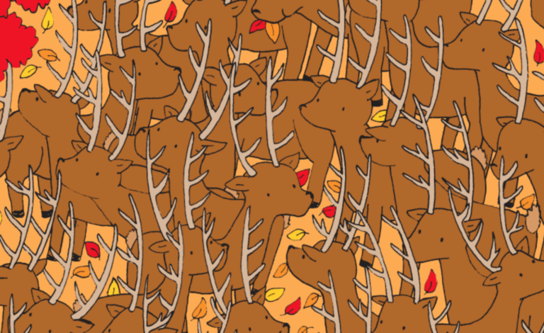 Brain Teaser: Can You Find The Doe Among The Stags?