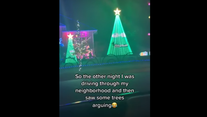 Christmas Trees 'Argue' During Creative Light Show | 12 Tomatoes