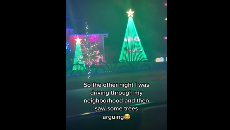 Christmas Trees ‘Argue’ During Creative Light Show