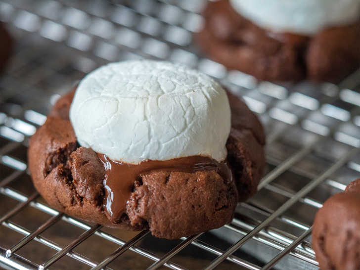 Chocolate cookie, fudge, melted marshmallow on top