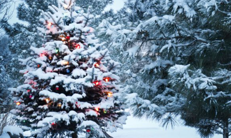 The Old Farmer’s Almanac Calculator Will Tell You If You’re Going To Have A White Christmas