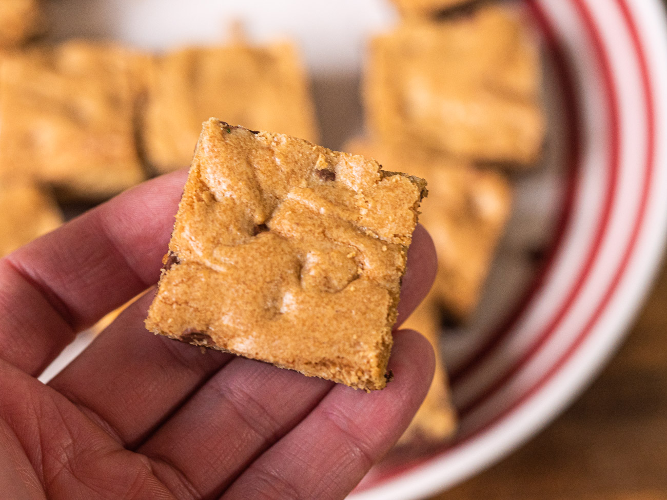 Chocolate Brookie Bars