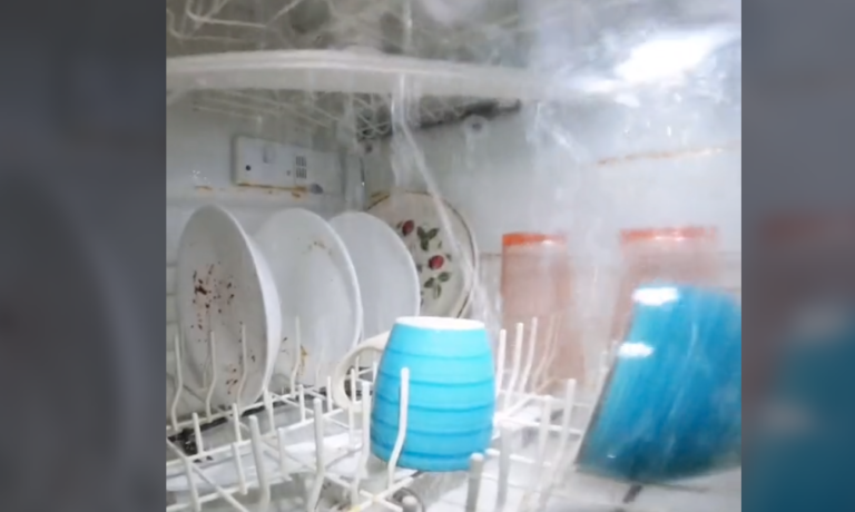 Video Shows What The Inside Of A Running Dishwasher Looks Like