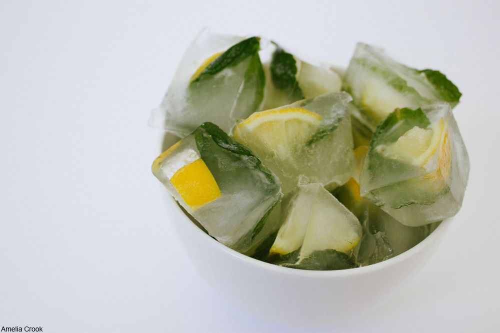 lemon wedge ice cubes