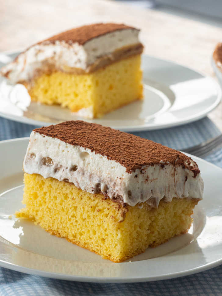 https://cdn.greatlifepublishing.net/wp-content/uploads/sites/2/2021/01/05093212/Tiramisu-Poke-Cake-Vertical-20-of-23-728x970.jpg