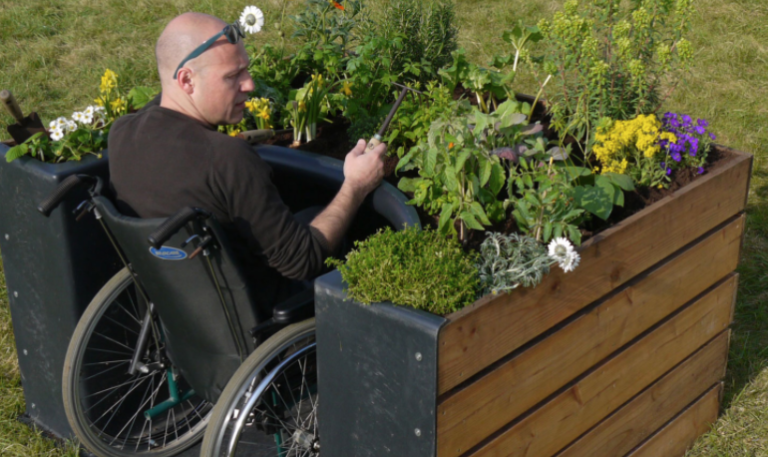 Make Your Garden Wheelchair Accessible Using These Raised Bed