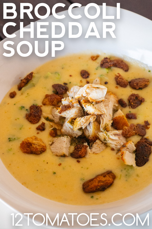 Broccoli Cheese and Chicken Soup -image