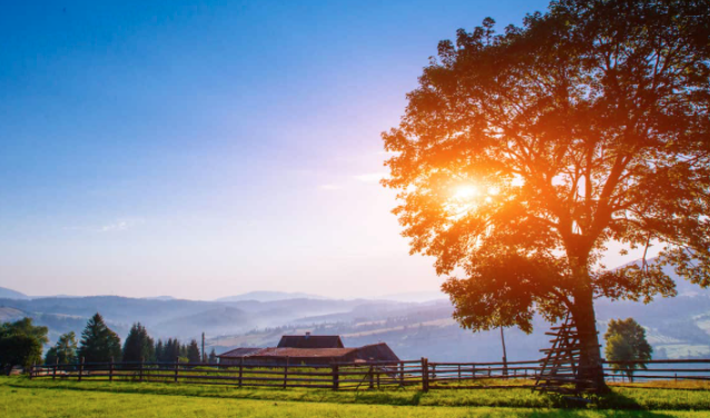 Americans Are Now Wanting To Live In The Country Amid Pandemic, According To New Poll