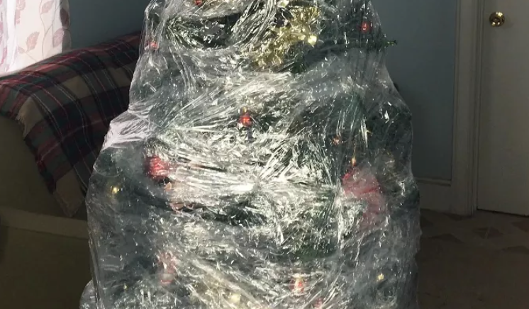 wrap christmas tree in saran wrap