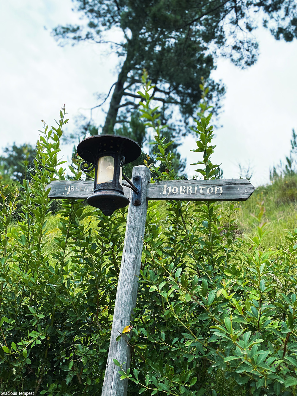 lamp post in Hobbiton